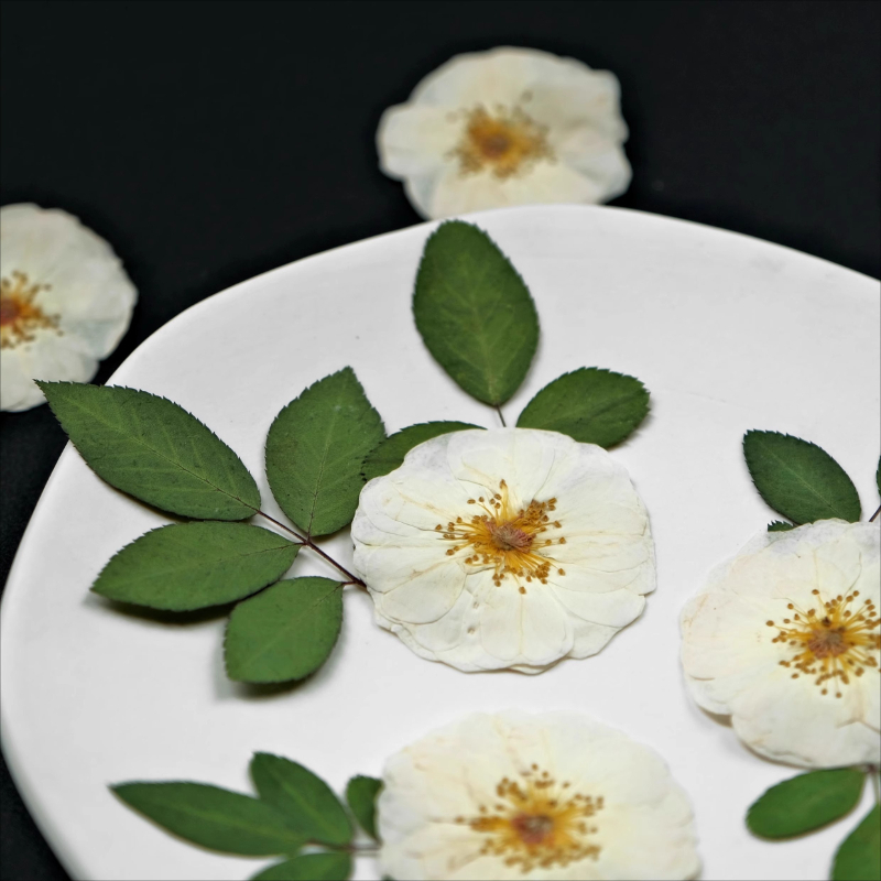 6pcs,9pcs,Nature White Rose Pr - đánh giá và giá Wax Seal Stamp Kit